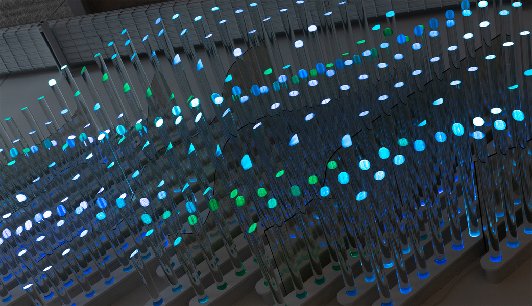 Site and Scope, detail