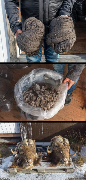 Qiviut Workshop (2021)