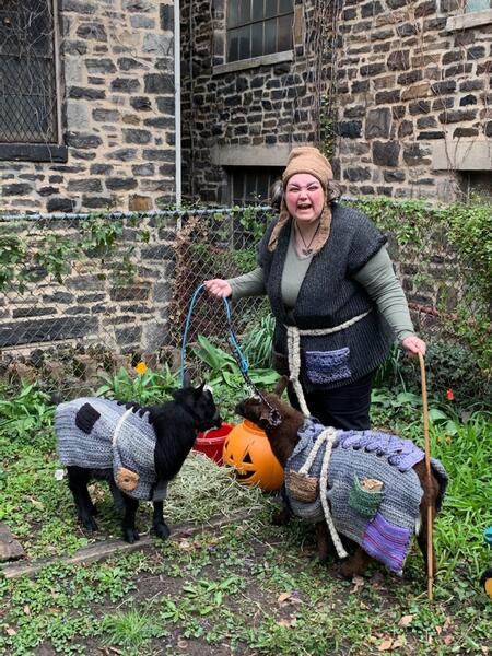 Rocks Ant Tar and friends