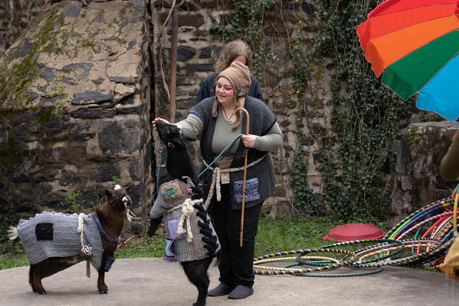 Rocks Ant Tar and friends