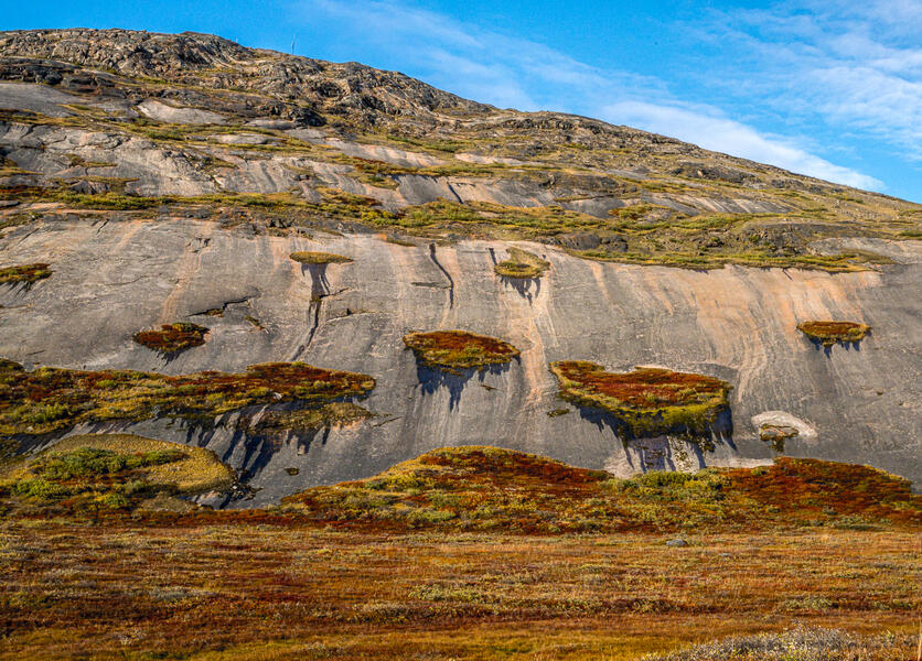 Autumn Foliage and The Ayatollah (2023)
