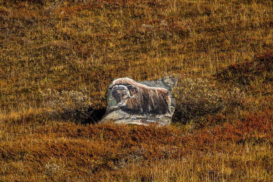 Roadside Memorial to Willy the Musk Ox (2023)