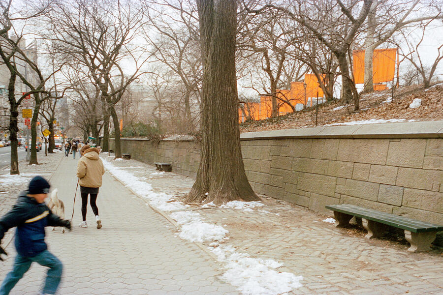 Central Park, New York, NY 2005