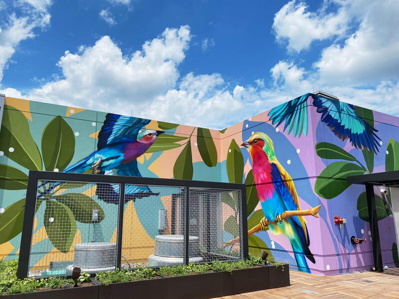 455 Massachussetts Ave Rooftop, Full Mural