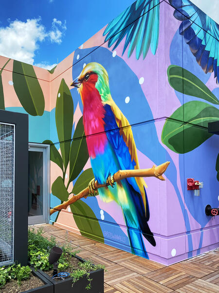 455 Massachussetts Ave Rooftop, Right Bird