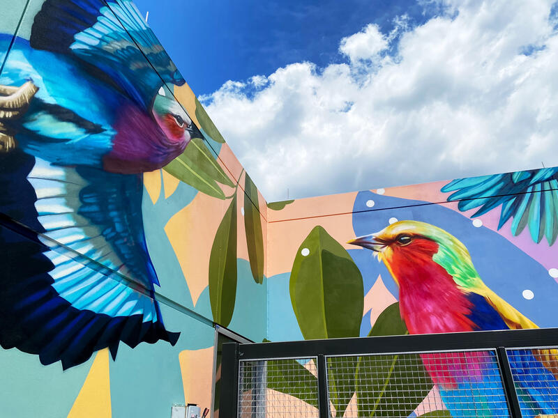 455 Massachussetts Ave Rooftop, Corner