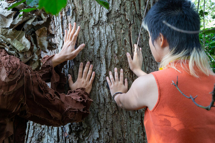 I am a tree in your life