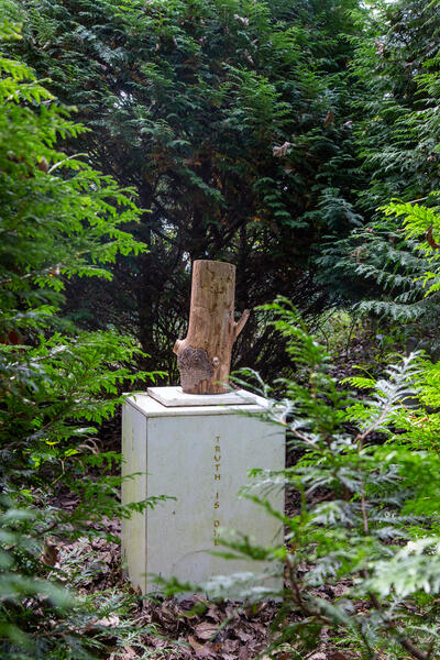 I am a tree in your life