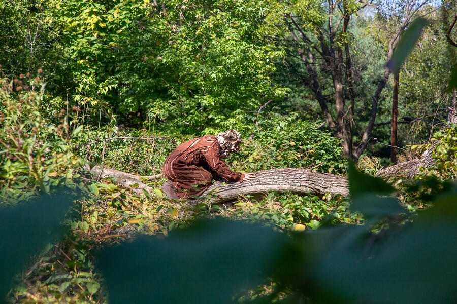 I am a tree in your life