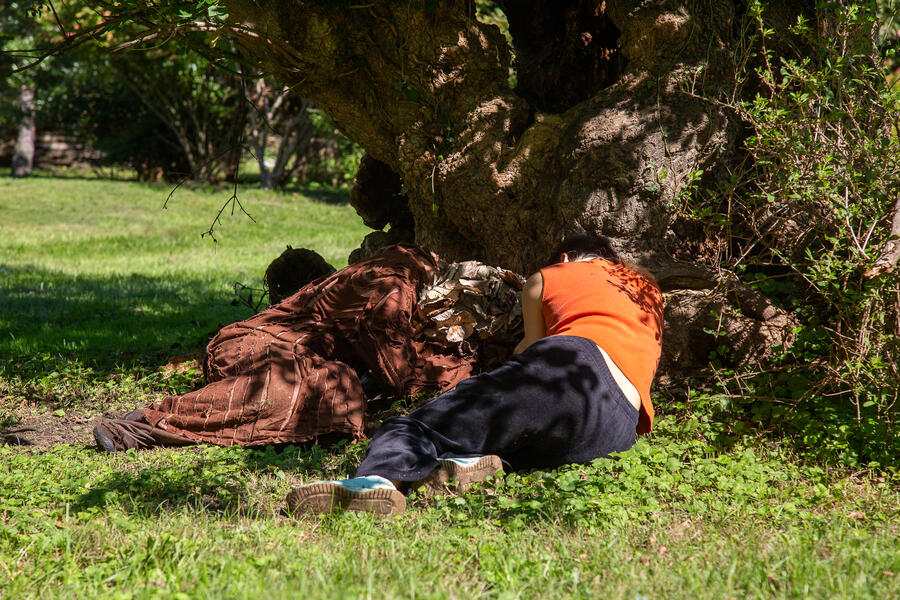 I am a tree in your life