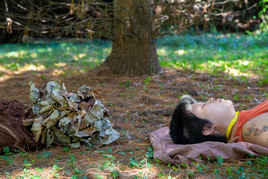 I am a tree in your life