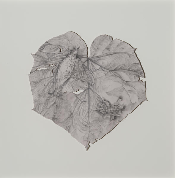 Bird and Dried Hydrangea