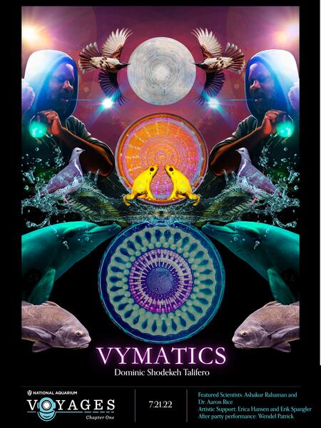 Advanced Sound Art: Vymatics / Breath Art composition by Shodekeh & visualized by Erica Hansen for Voyages: Chapter I at the National Aquarium. Initial recording by Dr. Erik Spangler at the Maryland Institute College of Art Sound Art Program, 2022.