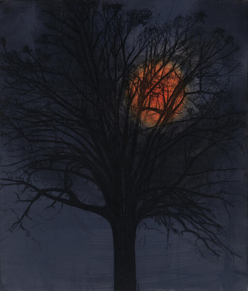 Walnut Tree with a Full Moon