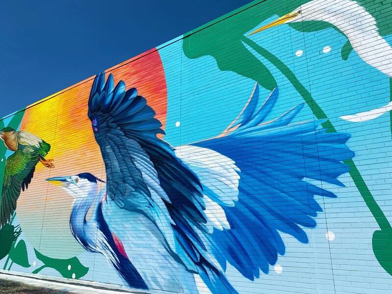 Chesapeake College Cambridge Center, Detail