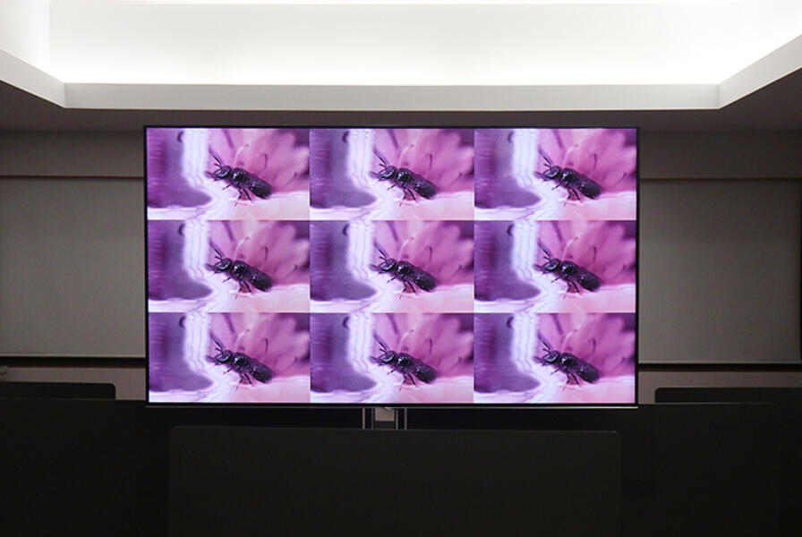 Transmission Override, Binnar 2025, Portugal, International Festival of the Arts, Video Installation. Ten_Y25 Group Exhibition.  