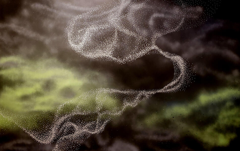 Sometimes You Can't Escape What They Say