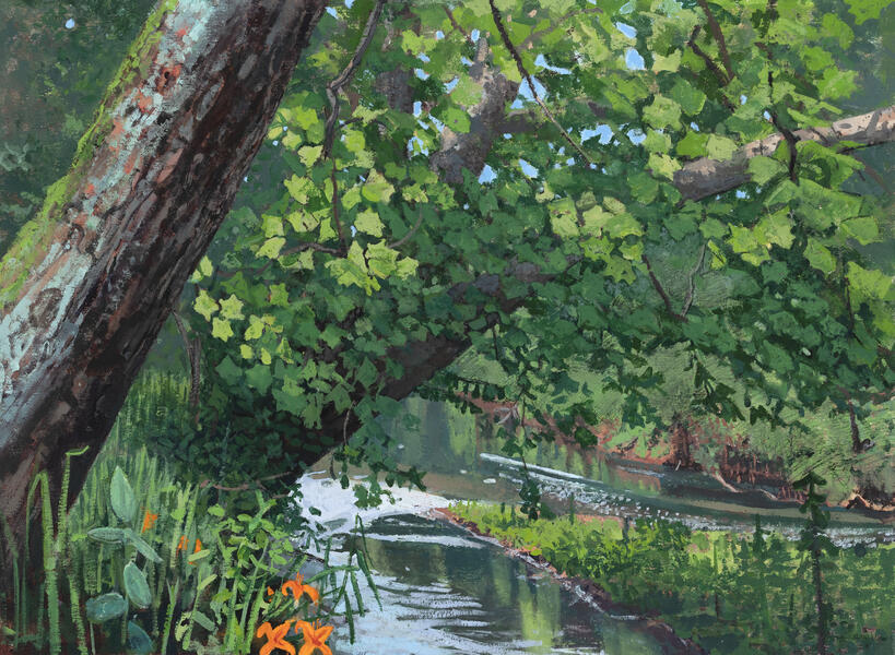 Sycamore over the Falls