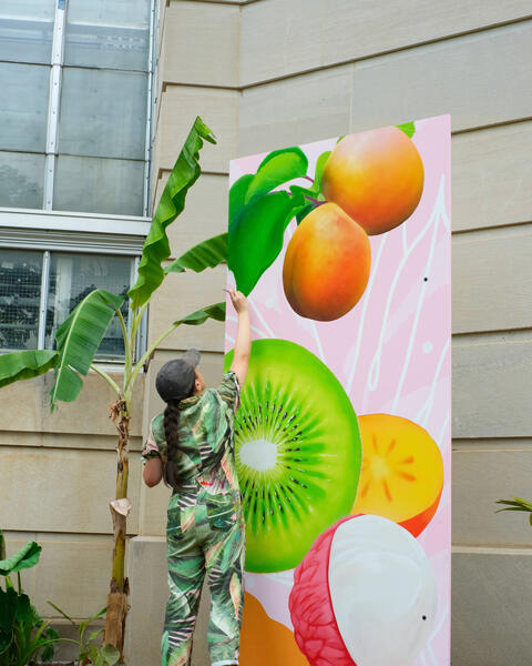 US Botanic Gardens, Mural Panel in Progress