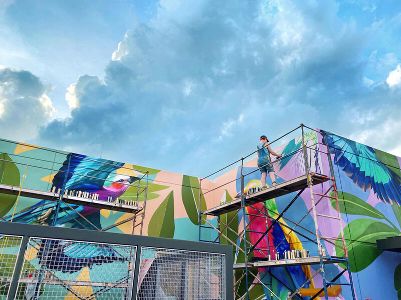 455 Massachussetts Ave Rooftop, In Progress