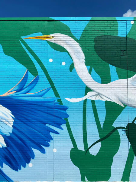 Chesapeake College Cambridge Center, Egret