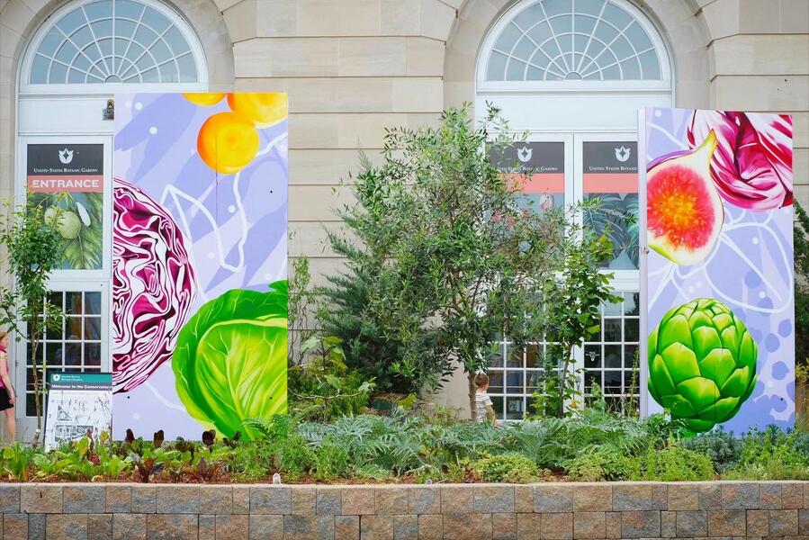 US Botanic Gardens, Mural Panels in Situ