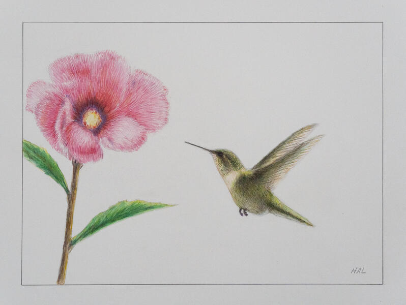 Coming in for a Feeding