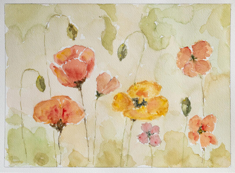 Poppies for Veterans Day