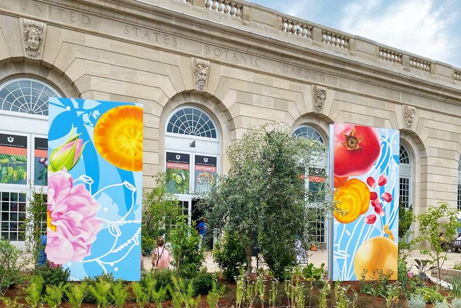 US Botanic Gardens, Mural Panels in Situ