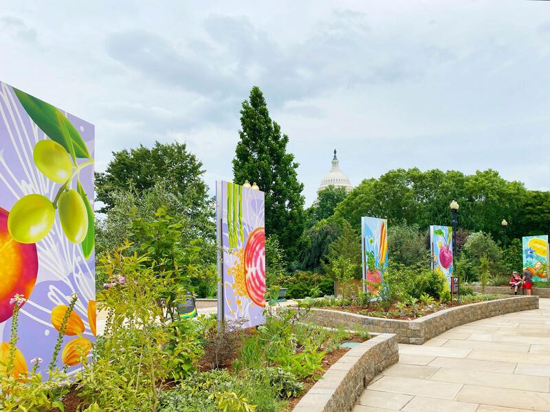 US Botanic Gardens, Mural Panels in Situ