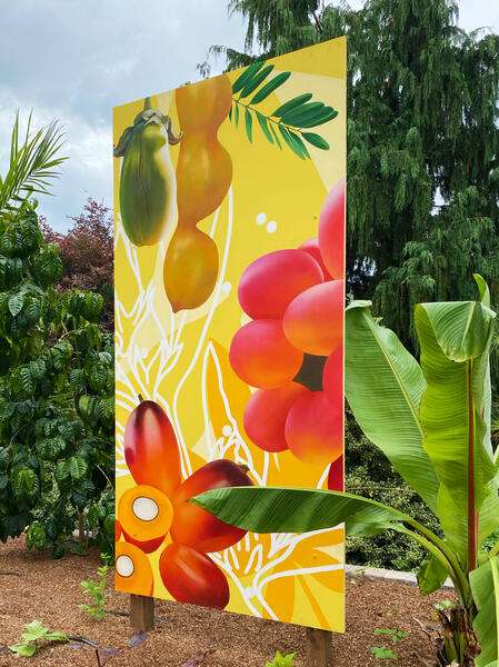US Botanic Gardens, Mural Panel in Situ