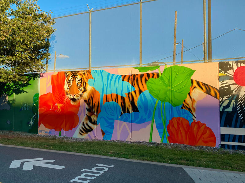 DC Walls 2021, Wide View