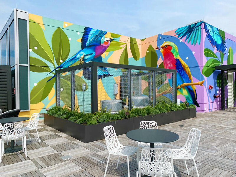 455 Massachussetts Ave Rooftop, Wide View