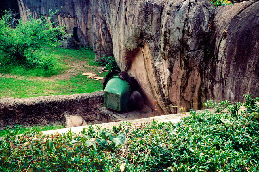 Audobon Zoo, New Orleans, LA