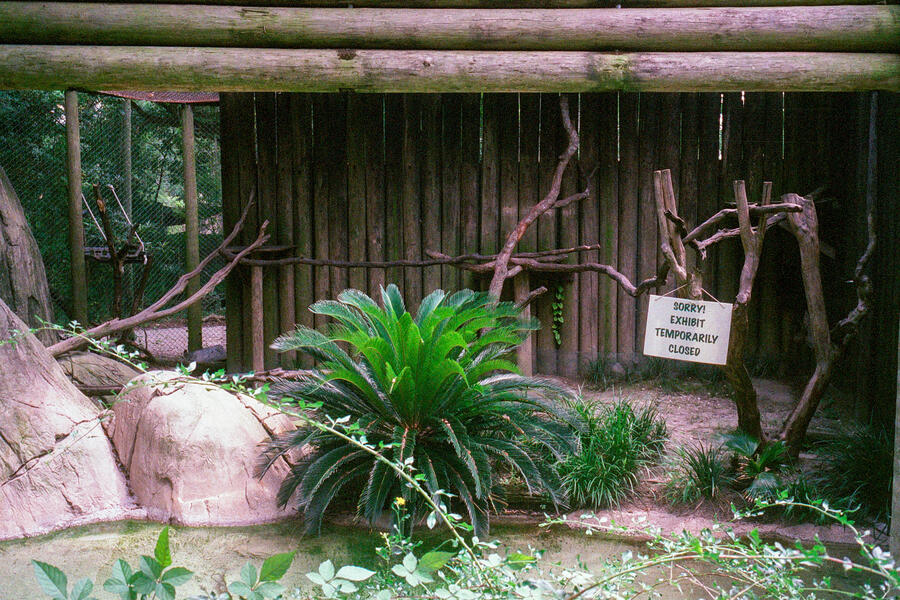 Audobon Zoo, New Orleans, LA