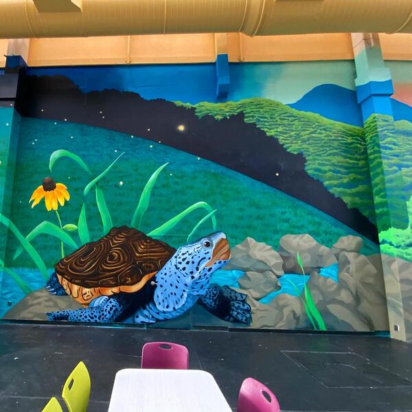 Maryland Landscape Detail