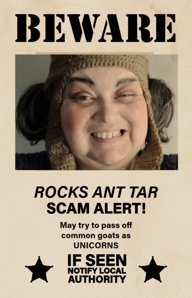 Rocks Ant Tar and friends