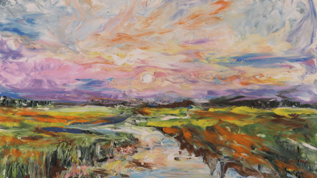 A Black Rail's Tale - Sunset GIF