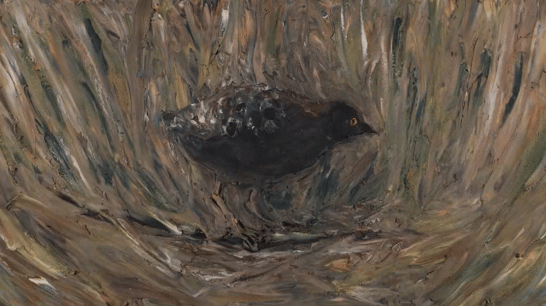 A Black Rail's Tale - animation clip