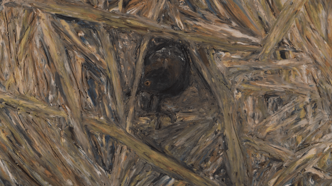 A Black Rail in the marsh grass -- clay on glass animated GIF