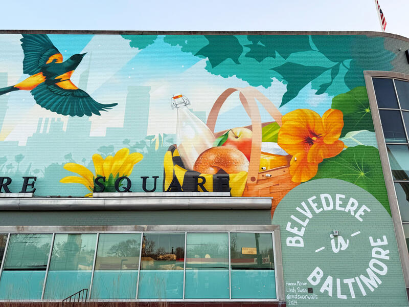 Belvedere Square, Oriole and Picnic Basket