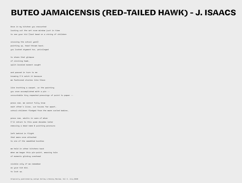 Buteo jamaicensis (Red-tailed Hawk) - Bulb Culture Collective, August 2025