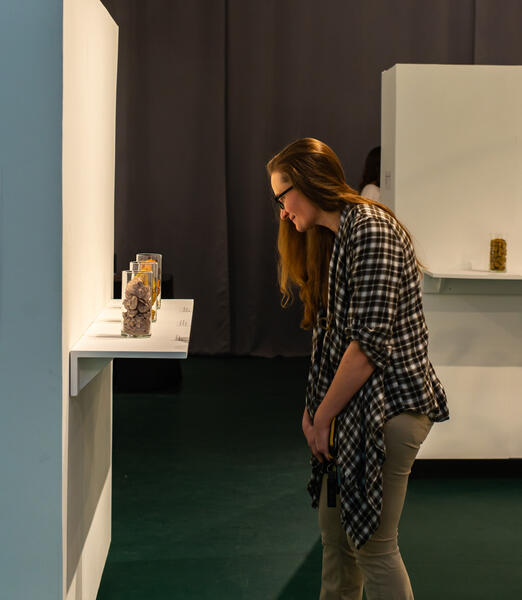 Wild Clay Installation