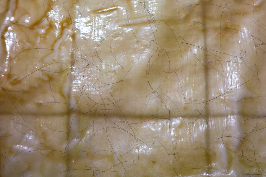 Can I Ever Be Impenetrable (detail)