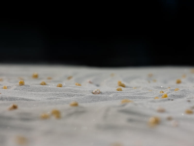 Detail of Uniforms (Value Studies Series) Installation #1