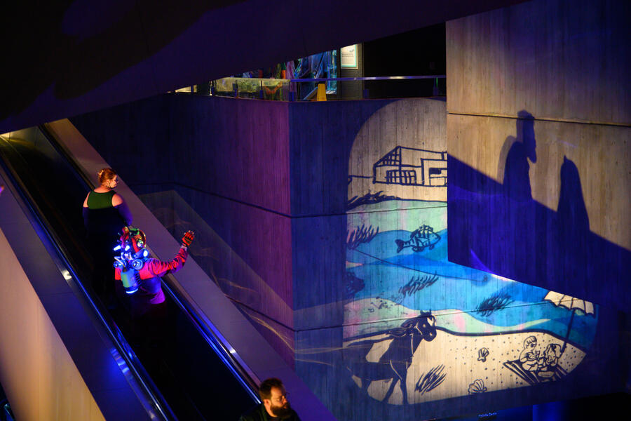 Live Shadow Puppetry