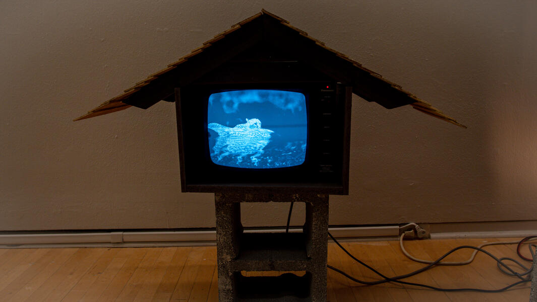 Detail shot of image distortion in the black and white security monitor system.