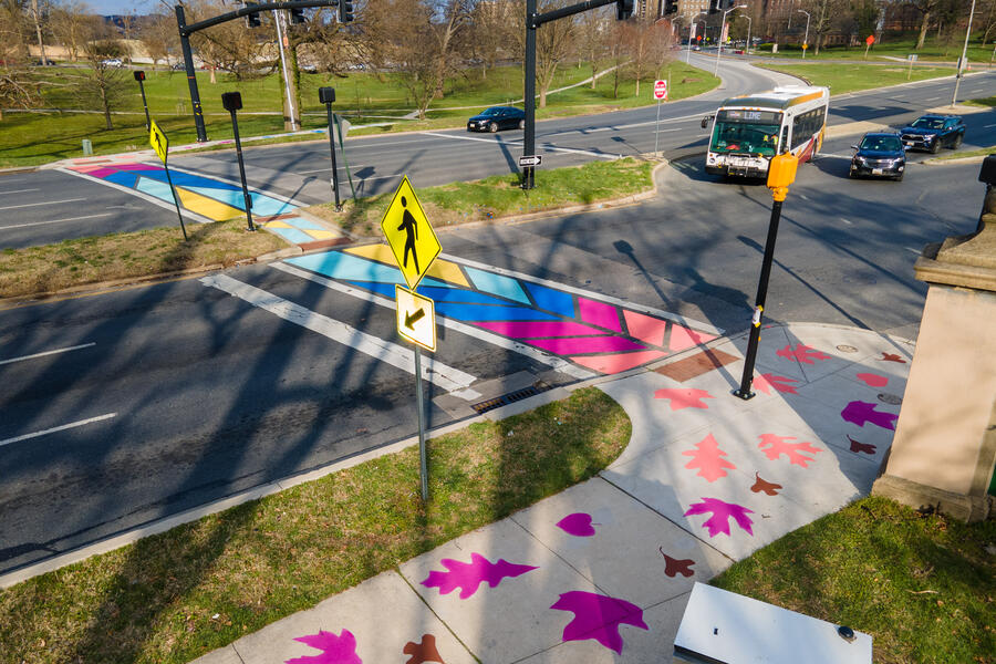 Druid Hill Canopy Crosswalk