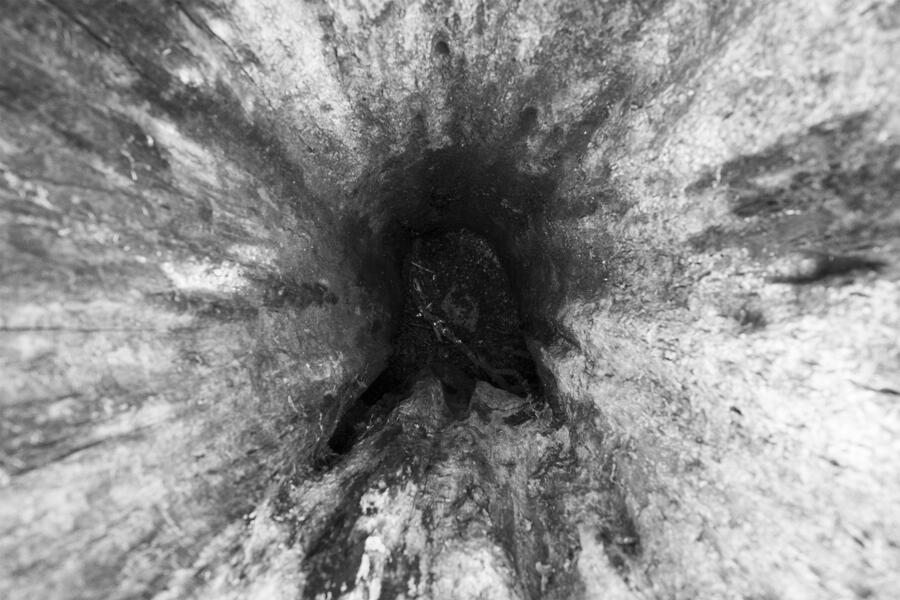 from Landscape After Battle