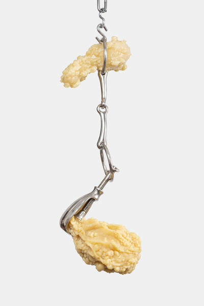 End of Day (Nutcracker)